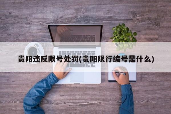 贵阳违反限号处罚(贵阳限行编号是什么)