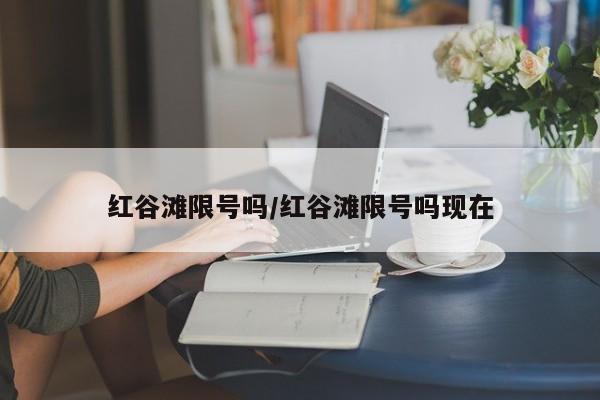 红谷滩限号吗/红谷滩限号吗现在