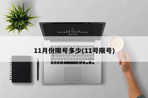 11月份限号多少(11号限号)