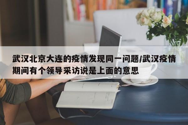 武汉北京大连的疫情发现同一问题/武汉疫情期间有个领导采访说是上面的意思