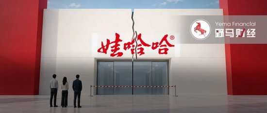 娃哈哈员工之怒：虎林之后，杭州	、沈阳、南京在行动！